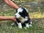 Immagine 21