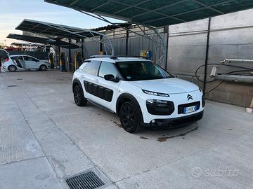 CACTUS STRAFULL 7200€ TRATTABILI