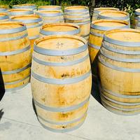 Botte legno pregiato di rovere arredo design expo’