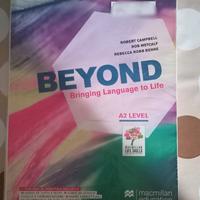 Beyond 1 ISBN: 9788873866930