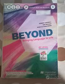 Beyond 1 ISBN: 9788873866930