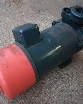 pompa per liquidi 220 V.