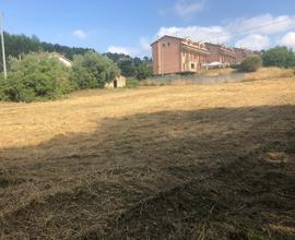 Terreno mq. 2400 di cui 1050 edificabile C5
