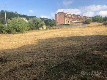 Terreno mq. 2400 di cui 1050 edificabile C5