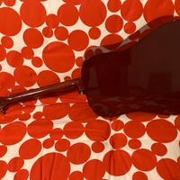 Chitarra acustica Ibanez