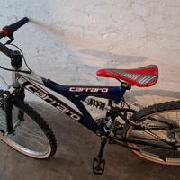 Bicicletta biammortizzata 