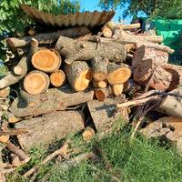 Legna in Tronchi