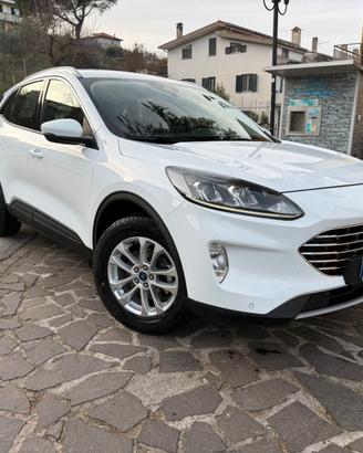 Ford Kuga 1.5 EcoBlue 120 CV aut. 2WD Titanium Bus