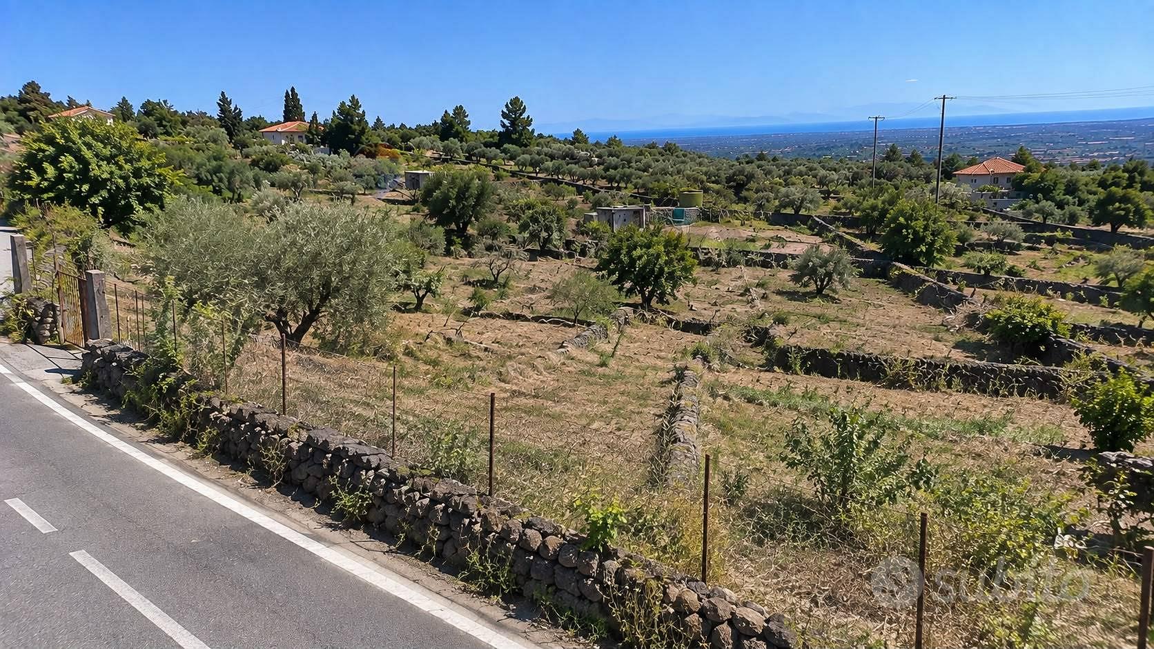 Terreno Edificabile - Santa Maria di Licodia - Altro