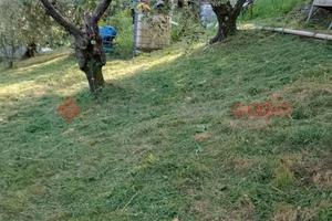 Terreno Agricolo Pistoia [Cod. rif 3318254VCG]