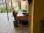 Immagine 5