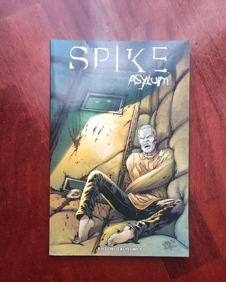 Buffy - Spike Asylum