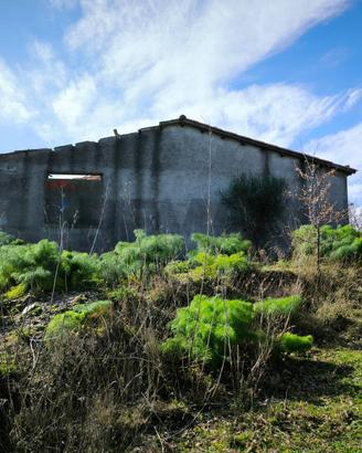 Terreno - Castelmola