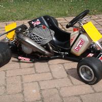 Kart epoca Birel Tm