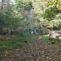 Terreno nel bosco