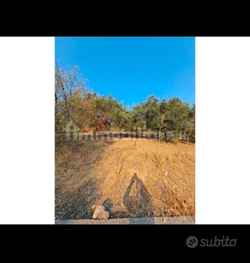 Terreno Agricolo - Vista 5