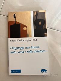 Linguaggi non lineari nella scena e nella didattic