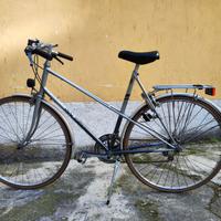 Bicicletta Raleigh