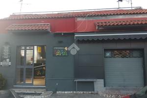 ATTIVITÀ A POLLENA TROCCHIA