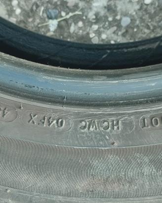gomme estive 