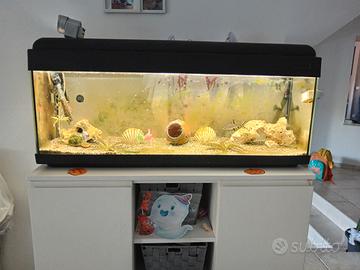 acquario 100x30 h46