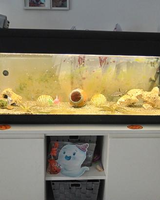 acquario 100x30 h46
