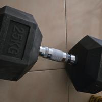 Set manubri Rogue crossfit