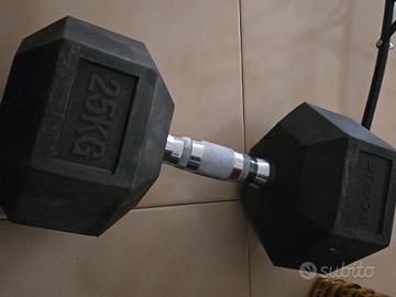 Set manubri Rogue crossfit