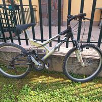 bicicletta