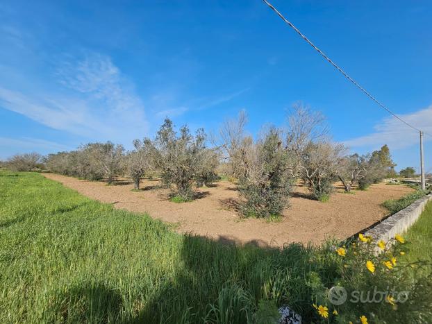 GALATINA - Terreno agricolo in vendita