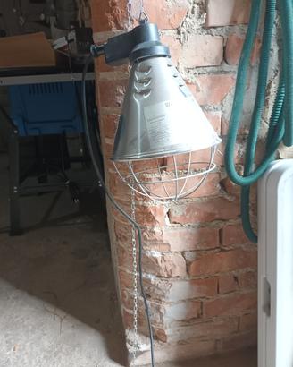 lampada a infrarossi
