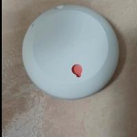 Assistente vocale