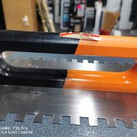 frattone/ americana dentata 