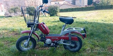 Benelli Motorella anno 1984
