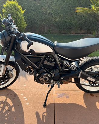 Ducati scrambler 800