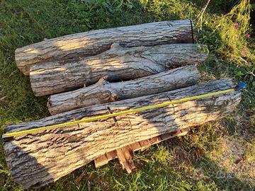 Tronchi in legno di noce