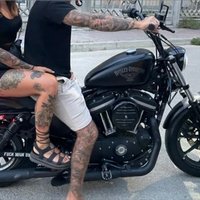 Harley Davidson 883 iron 2017