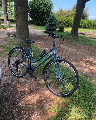 bicicletta riverside