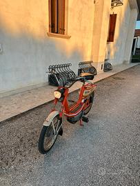 Cimatti chic 50