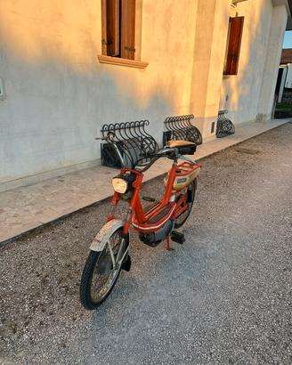Cimatti chic 50