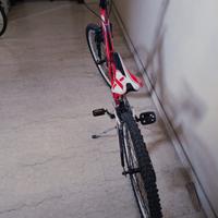 Mountain Bike Lion XMR per ragazzi