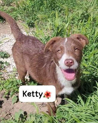 Sorrisini semplici e carini