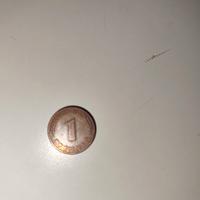 1pfennig Anno 1995