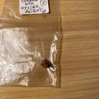 Rolex - Corona oro Oyster patent