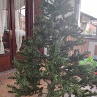 Albero di natale