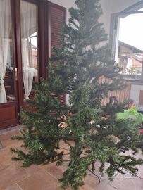 Albero di natale