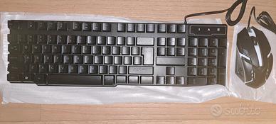 Tastiera e mouse USB.