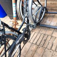 bicicletta donna 