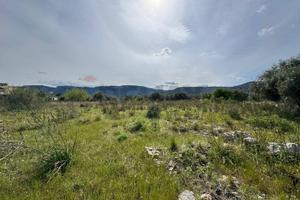 Terreno - Priolo Gargallo