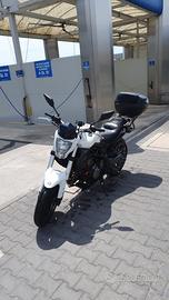 Moto benelli 302